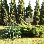 I Restauracja 